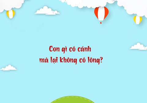 Câu đố hack não: Con gì không bệnh mà vẫn cho uống thuốc?- Ảnh 3. Câu đố hack não: Con gì không bệnh mà vẫn cho uống thuốc?- Ảnh 3.