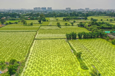 Sau 24 năm, khu quy hoạch công viên vẫn như 'mảnh vườn' hoang sơ- Ảnh 3. Đến cuối năm 2019, UBND TP.HCM chấp thuận đề xuất xây dựng công viên đa chức năng phục vụ các nhu cầu đa dạng về thưởng lãm, sinh hoạt, khai thác các loại hình vui chơi giải trí, nghỉ dưỡng... Tuy nhiên đến nay công viên vẫn chưa được triển khai - Ảnh: QUANG ĐỊNH