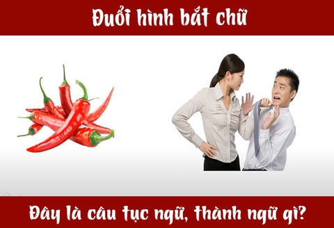 IQ cao có đoán được đây là câu tục ngữ, thành ngữ gì? (P21)- Ảnh 1. IQ cao có đoán được đây là câu tục ngữ, thành ngữ gì? (P21)- Ảnh 1.