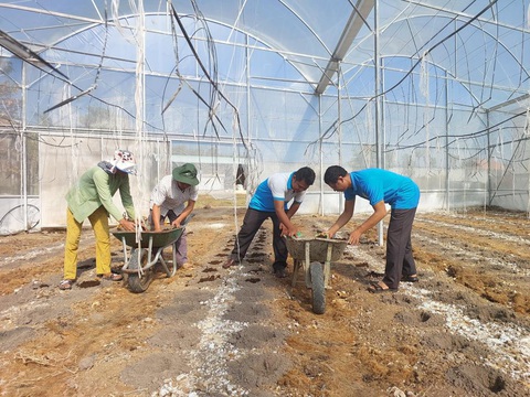 Bình Phước tất bật chuẩn bị nông sản phục vụ cho thị trường Tết- Ảnh 1. Bình Phước tất bật chuẩn bị nông sản phục vụ cho thị trường Tết- Ảnh 1.