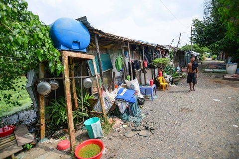 Sau 24 năm, khu quy hoạch công viên vẫn như 'mảnh vườn' hoang sơ- Ảnh 6. Một dãy nhà trọ tạm của những công nhân tỉnh Trà Vinh thuê ở để trồng rau nhút trong khu vực quy hoạch. Quận 12 đã đề xuất UBND TP được bố trí vốn đầu tư công trung hạn giai đoạn 2021-2025 để thực hiện bồi thường giải phóng mặt bằng cho 444 trường hợp hộ dân bị ảnh hưởng vì dự án - Ảnh: QUANG ĐỊNH