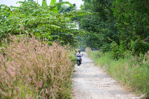 Sau 24 năm, khu quy hoạch công viên vẫn như 'mảnh vườn' hoang sơ- Ảnh 10. Căn cứ nghị quyết số 98 của Quốc hội về thí điểm một số cơ chế, chính sách đặc thù phát triển TP.HCM, UBND quận 12 cũng đã xây dựng kế hoạch lập danh mục sắp xếp theo thứ tự ưu tiên đề xuất mời gọi đầu tư các khu quy hoạch công viên cây xanh trên địa bàn quận, trong đó có khu công viên cây xanh tại phường Thạnh Xuân và phường Thới An - Ảnh: QUANG ĐỊNH