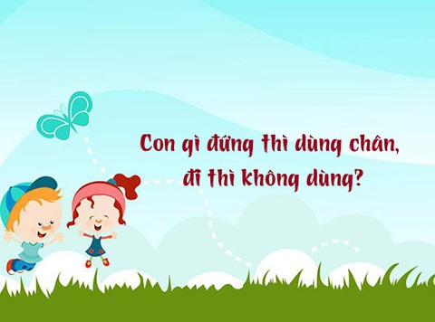 Câu đố hack não: Con gì đứng thì dùng chân, đi thì không dùng?- Ảnh 1. Câu đố hack não: Con gì đứng thì dùng chân, đi thì không dùng?- Ảnh 1.