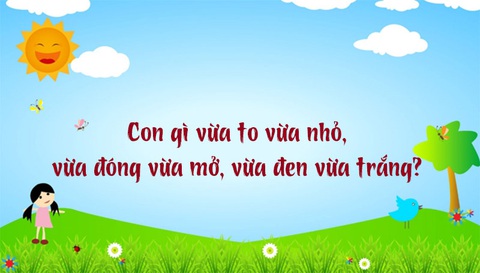 Câu đố hack não: Con gì đứng thì dùng chân, đi thì không dùng?- Ảnh 5. Câu đố hack não: Con gì đứng thì dùng chân, đi thì không dùng?- Ảnh 5.