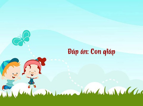 Câu đố hack não: Con gì biến thành loài khác sau nửa đêm?- Ảnh 1.