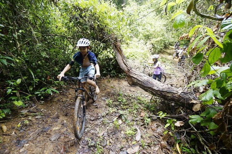 Diễn đàn Bịt lỗ hổng tôn sư trọng đạo: Chưa kịp khai phóng đã bị thao túng- Ảnh 4. Ngoài việc học trong nhà trường, học sinh rất cần các hoạt động trải nghiệm để khám phá thiên nhiên và phát triển bản thân. Trong ảnh: học sinh đạp xe tham quan đường rừng Mã Đà, huyện Vĩnh Cửu, tỉnh Đồng Nai - Ảnh: QUANG ĐỊNH