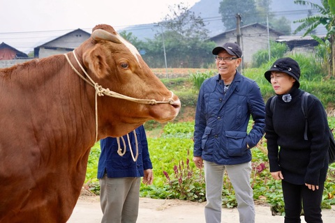 MC Lại Văn Sâm lúng túng nhận thử thách mang bò ra chợ bán- Ảnh 2. MC Lại Văn Sâm và NSƯT Thanh Thủy