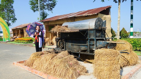 Sử dụng 20.000 chậu lúa cho triển lãm Con đường lúa gạo Việt Nam- Ảnh 2. Khách tham quan hào hứng chụp ảnh với các tiểu cảnh tại triển lãm Con đường lúa gạo Việt Nam - Ảnh: CHÍ CÔNG