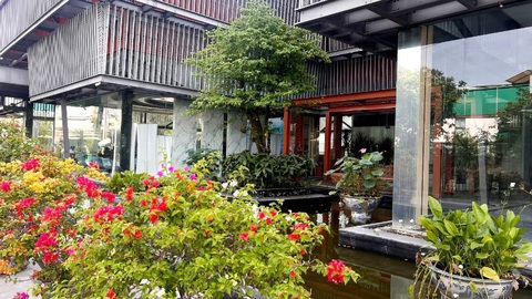 The Rivana: thuyết phục khách hàng bởi chất lượng bàn giao- Ảnh 4. Sức sống xanh từng ngóc ngách tại The Rivana
