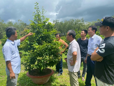 Nỗ lực phát triển hợp tác xã nông nghiệp- Ảnh 3. Nỗ lực phát triển hợp tác xã nông nghiệp- Ảnh 3.