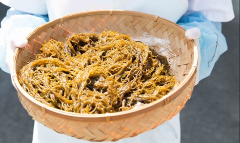 Fucoidan - Món quà từ thiên nhiên hỗ trợ sức khỏe người bệnh ung thư- Ảnh 1. Fucoidan - Món quà từ thiên nhiên hỗ trợ sức khỏe người bệnh ung thư- Ảnh 1.
