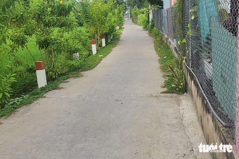 Một bé trai sơ sinh bị bỏ rơi bên đường ở Bình Chánh- Ảnh 1. Khu vực bên đường tổ 9 (ấp 2, xã Qui Đức, huyện Bình Chánh) - nơi người dân phát hiện bé trai sơ sinh vào sáng 12-12 - Ảnh: NGỌC KHẢI