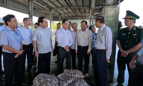 Phó thủ tướng Trần Lưu Quang yêu cầu dồn nhân lực, nguồn lực để gỡ 'thẻ vàng' EC- Ảnh 1. Phó thủ tướng Trần Lưu Quang khảo sát tại một cảng cá ở Bà Rịa - Vũng Tàu - Ảnh: Đ.H
