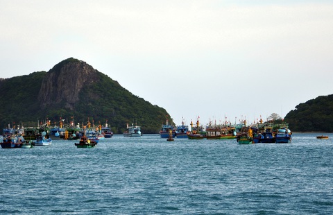 Phó thủ tướng Trần Lưu Quang yêu cầu dồn nhân lực, nguồn lực để gỡ 'thẻ vàng' EC- Ảnh 3. Tàu cá neo ở biển Côn Đảo, Bà Rịa - Vũng Tàu - Ảnh: ĐÔNG HÀ