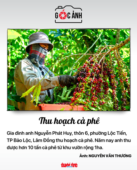Tin tức sáng 15-12: TP.HCM bình ổn giá gạo Tết; Cuối năm quá nhiều bụi mịn, tiếng ồn- Ảnh 10. Tin tức sáng 15-12: TP.HCM bình ổn giá gạo Tết; Cuối năm quá nhiều bụi mịn, tiếng ồn- Ảnh 10.