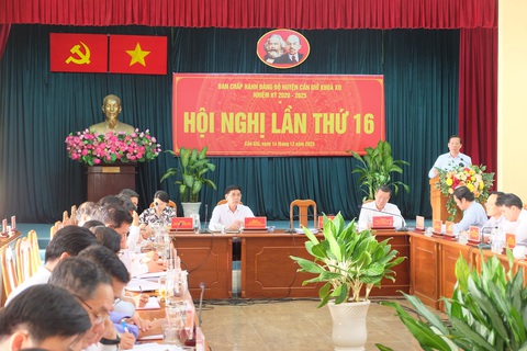 Chủ tịch Phan Văn Mãi: Mời gọi doanh nghiệp lớn về phát triển du lịch xanh Cần Giờ- Ảnh 2. Toàn cảnh Hội nghị Huyện ủy Cần Giờ - Ảnh: TIẾN LONG
