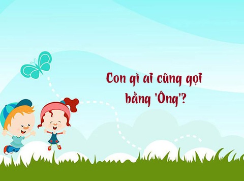 Câu đố hack não: Con gì ai cũng gọi bằng 'Ông'?- Ảnh 1. Câu đố hack não: Con gì ai cũng gọi bằng 'Ông'?- Ảnh 1.