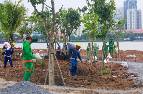Khánh thành vườn hoa hướng dương bên sông Sài Gòn dịp Giáng sinh, năm mới- Ảnh 4. Công viên ven sông Sài Gòn phía Thủ Thiêm sẽ được khánh thành vào ngày 23-12 - Ảnh: LÊ PHAN
