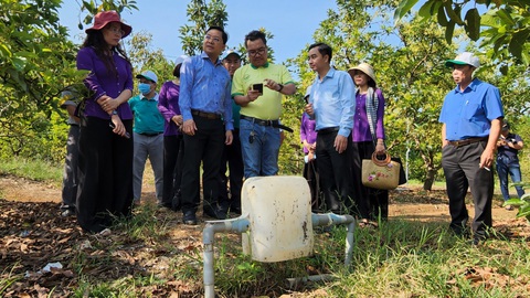 Xây dựng và quảng bá thương hiệu cho nông sản Bình Phước- Ảnh 1. Doanh nghiệp, HTX đến thăm quan mô hình phát triển kinh tế của nông trại Thiên Nông