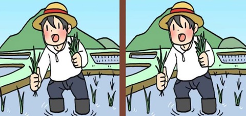 Mắt 10/10 mới thấy con chuột trốn ở đâu?- Ảnh 5.