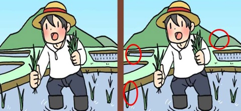 Mắt 10/10 mới thấy con chuột trốn ở đâu?- Ảnh 6.
