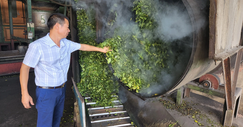 Ông Kim Văn Tân kiểm tra hệ thống sao chè - Ảnh: T. HÙNG