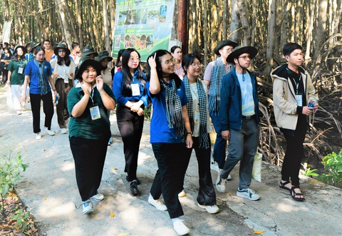 Bế mạc festival, đại biểu đi trồng cây tại Cần Giờ- Ảnh 4. Các đại biểu trẻ bước đi trong sự dịu mát của cây xanh rừng phòng hộ Cần Giờ dù tiết trời trưa nắng oi bức - Ảnh: THANH HIỆP