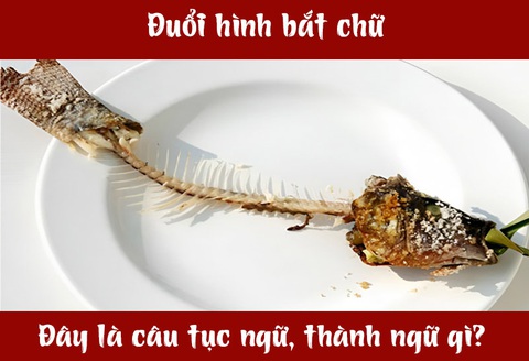 IQ cao có đoán được đây là câu tục ngữ, thành ngữ gì? (P26)- Ảnh 5. IQ cao có đoán được đây là câu tục ngữ, thành ngữ gì? (P26)- Ảnh 5.