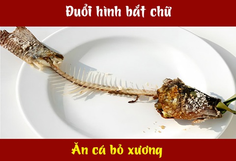 IQ cao có đoán được đây là câu tục ngữ, thành ngữ gì? (P26)- Ảnh 6.