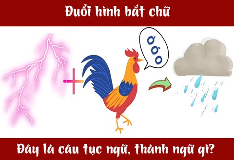 IQ cao có đoán được đây là câu tục ngữ, thành ngữ gì? (P26)- Ảnh 1. IQ cao có đoán được đây là câu tục ngữ, thành ngữ gì? (P26)- Ảnh 1.
