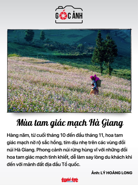 Tin tức sáng 16-12: TP.HCM yêu cầu ngưng đào đường, vỉa hè đón Tết dương lịch; Thưởng tết bao nhiêu?- Ảnh 5. Tin tức sáng 16-12: TP.HCM yêu cầu ngưng đào đường, vỉa hè đón Tết dương lịch; Thưởng tết bao nhiêu?- Ảnh 5.