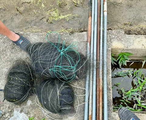 Chim yến bị truy sát khốc liệt, Khánh Hòa phải lập đội liên ngành bảo vệ- Ảnh 4. Các tấm lưới "tàng hình" được thu giữ - Ảnh: Công ty Yến sào Khánh Hòa cung cấp