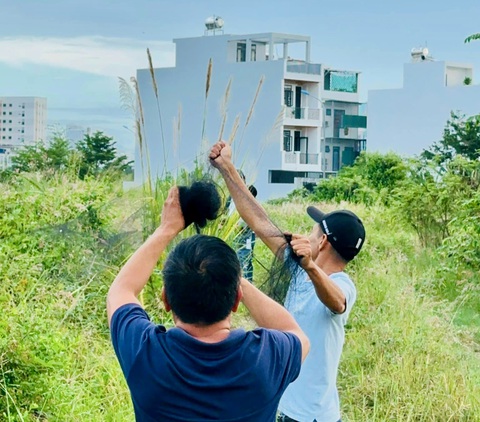 Chim yến bị truy sát khốc liệt, Khánh Hòa phải lập đội liên ngành bảo vệ- Ảnh 3. Nhiều đối tượng giăng lưới ngay trong khuôn viên khu dân cư, nhà yến - Ảnh: Công ty Yến sào Khánh Hòa cung cấp
