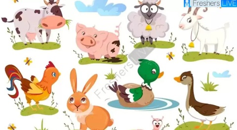 Thử tài tinh mắt: Con báo tuyết đang đứng ở đâu?- Ảnh 3. Thử tài tinh mắt: Con báo tuyết đang đứng ở đâu?- Ảnh 3.