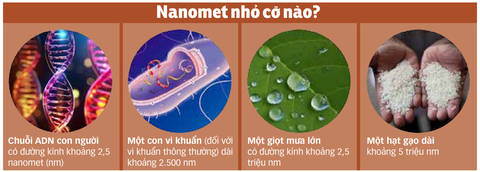 Nguồn: NIKKEI ASIA - Dữ liệu: BÌNH AN - Trình bày: N.KH. Nguồn: NIKKEI ASIA - Dữ liệu: BÌNH AN - Trình bày: N.KH.