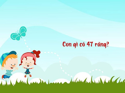 Câu đố hack não: Con gì có 47 răng?- Ảnh 1. Câu đố hack não: Con gì có 47 răng?- Ảnh 1.