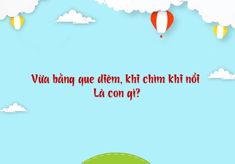 Con Gì Vừa Bằng Que Diêm Khi Chìm Khi Nổi? Khám Phá Đáp Án Thú Vị