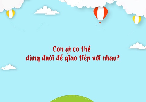 Câu đố hack não: Con gì có 47 răng?- Ảnh 3. Câu đố hack não: Con gì có 47 răng?- Ảnh 3.