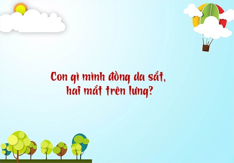 Câu đố hack não: Con gì có 47 răng?- Ảnh 7. Câu đố hack não: Con gì có 47 răng?- Ảnh 7.