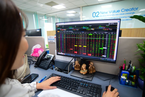 'Bông hồng vàng' Phú Yên cùng 'vua cá tra' Việt sa cơ, cổ phiếu rời sàn- Ảnh 1. Cổ phiếu của nhiều doanh nghiệp "nổi như cồn" một thời rơi vào diện đình chỉ giao dịch - Ảnh: QUANG ĐỊNH