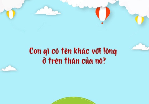 Câu đố hack não: Con gì không có răng mà ai cũng bảo có?- Ảnh 3. Câu đố hack não: Con gì không có răng mà ai cũng bảo có?- Ảnh 3.