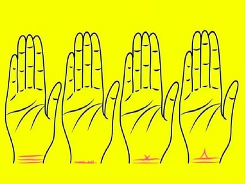 Đường nét trên cổ tay tiết lộ tính cách bí ẩn của bạn- Ảnh 1.