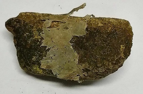 Đá nhựa tìm thấy trong đất liền - Ảnh:: EARTH-SCIENCE REVIEWS Đá nhựa tìm thấy trong đất liền - Ảnh: EARTH-SCIENCE REVIEWS