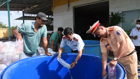 Bạc Liêu tiêu hủy hơn 3,3 triệu con tôm giống không qua kiểm dịch- Ảnh 1. Số tôm giống không qua kiểm dịch đã bị tiêu hủy chiều 18-12 - Ảnh: TIẾN LUẬN