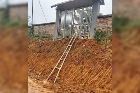 Ảnh vui 19-12: Hai cô vịt bị bắt vì... qua đường không đúng luật- Ảnh 2. Thôi ráng!