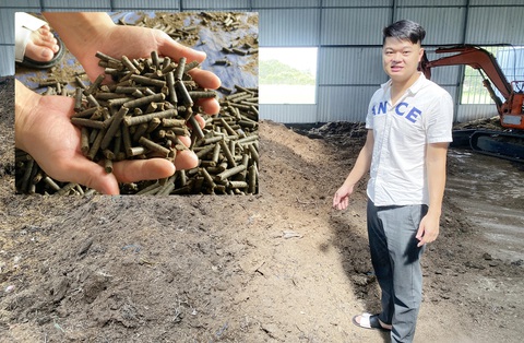 Biến lông gà thành phân bón, đỡ phần rác thải- Ảnh 1. Nguyễn Hà Thiên trong xưởng chế biến lông gà thành phân bón của mình ở quê nhà và phân bón viên nén khi thành phẩm - Ảnh: B.D.