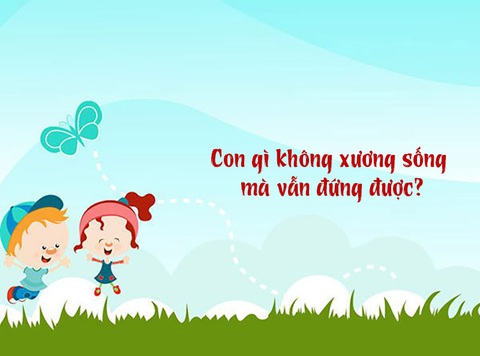 Câu đố hack não: Con gì không xương sống mà vẫn đứng được?- Ảnh 1. Câu đố hack não: Con gì không xương sống mà vẫn đứng được?- Ảnh 1.