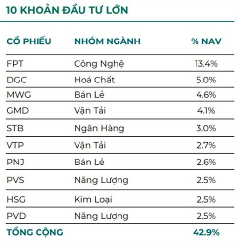 Một quỹ thuộc Dragon Capital công bố hiệu suất cao gấp đôi VN-Index- Ảnh 4. Một quỹ thuộc Dragon Capital công bố hiệu suất cao gấp đôi VN-Index- Ảnh 4.