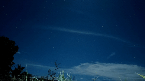 Ngắm mưa sao băng cuối cùng trong năm- Ảnh 2. Các vệt sáng xuất hiện trong đêm mưa sao băng Geminids, được ghi lại tại Nueva Ecija, Philippines vào năm 2022 - Ảnh: Glenn Tubon
