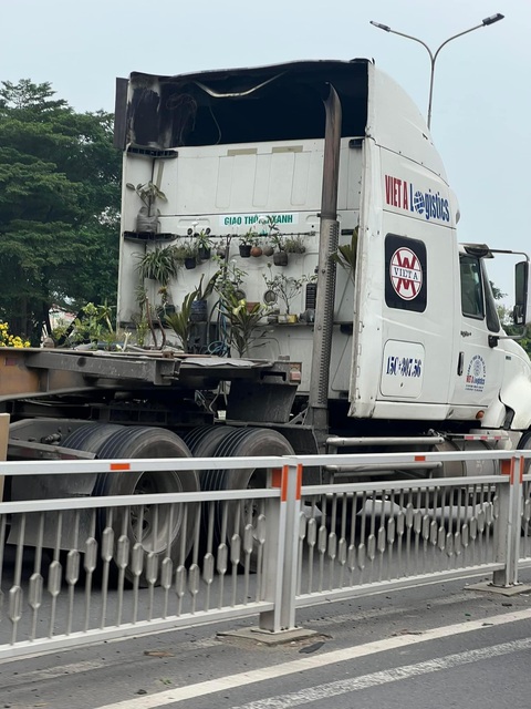 Ảnh vui 2-12: 'Tới công chuyện' với mấy trái cóc rồi!- Ảnh 3. Chú tài xế hệ cây xanh.